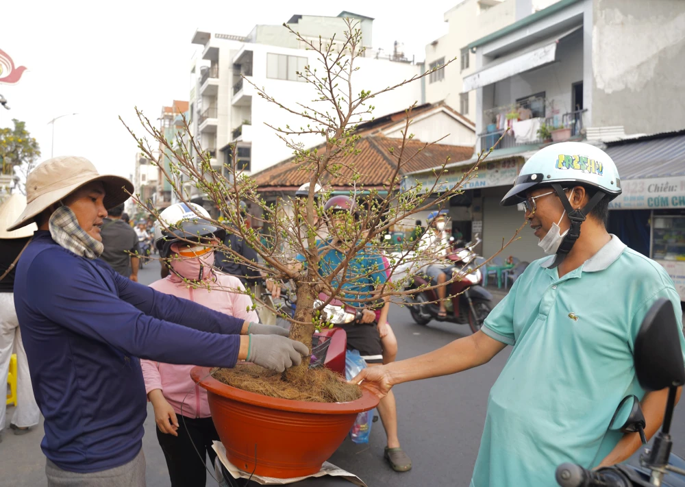 Tren-ben-duoi-thuyen (17).JPG