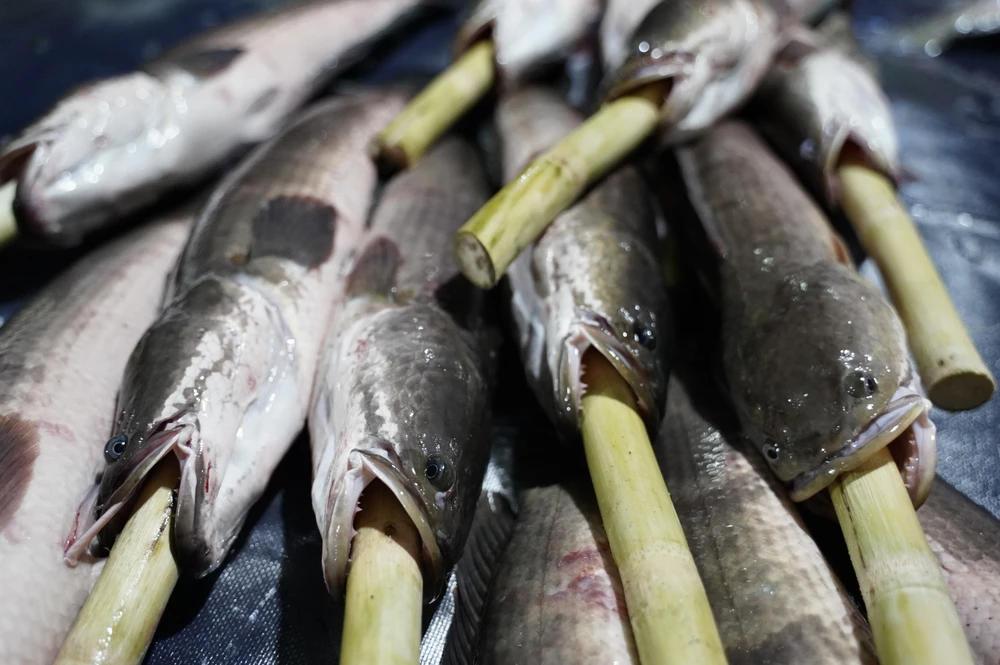 Ca-loc-nuong (13).JPG