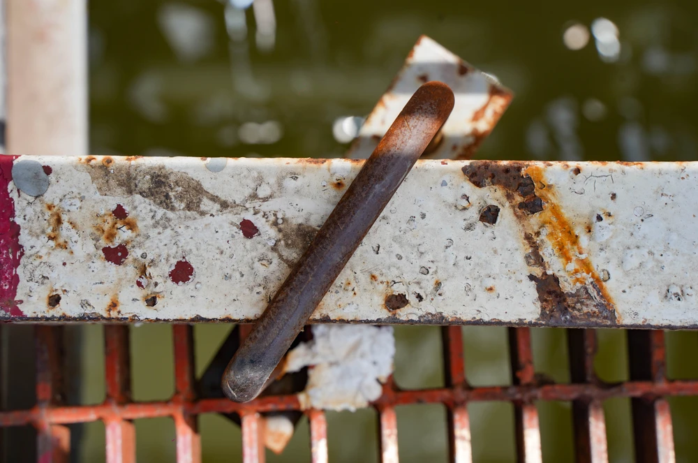 Cầu Rạch Dơi (3).jpg