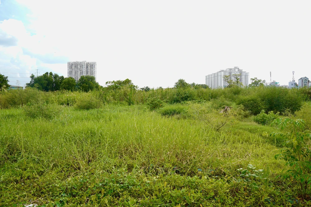 bờ Bắc Kênh Đôi (16).jpg