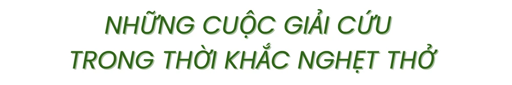 Công an tỉnh Lâm Đồng (2).png