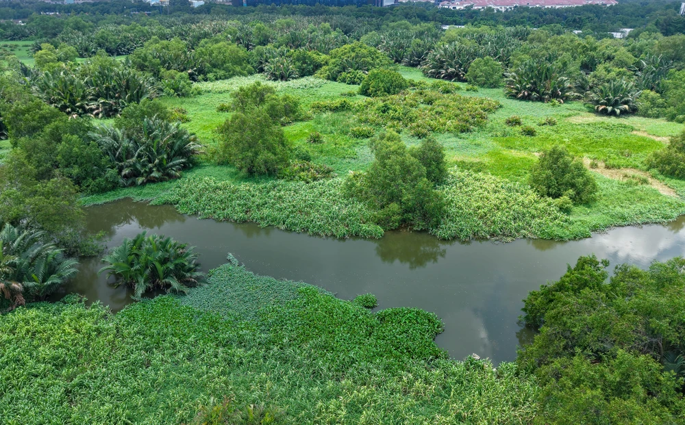 Trung tâm hành chính (31).jpg