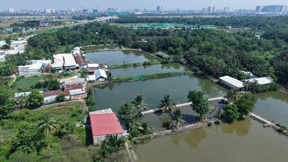 Rạch Chiếc (19).jpg