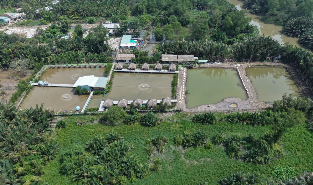 Rạch Chiếc (42).jpg