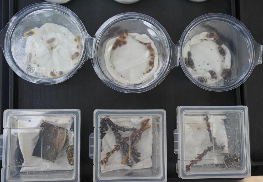 Thảo Cầm Viên (7).jpg