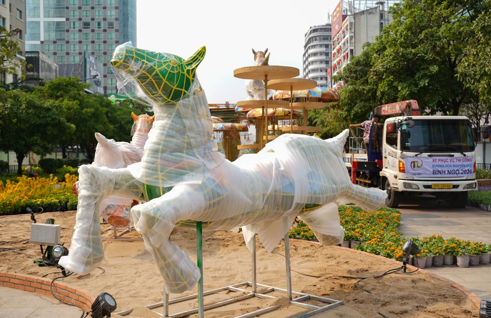 đường hoa Nguyễn Huệ (39).jpg