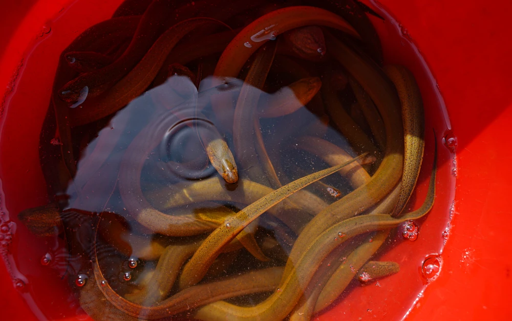 ông Công ông Táo (1).jpg