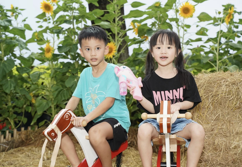 đường hoa Phú Mỹ Hưng (49).JPG