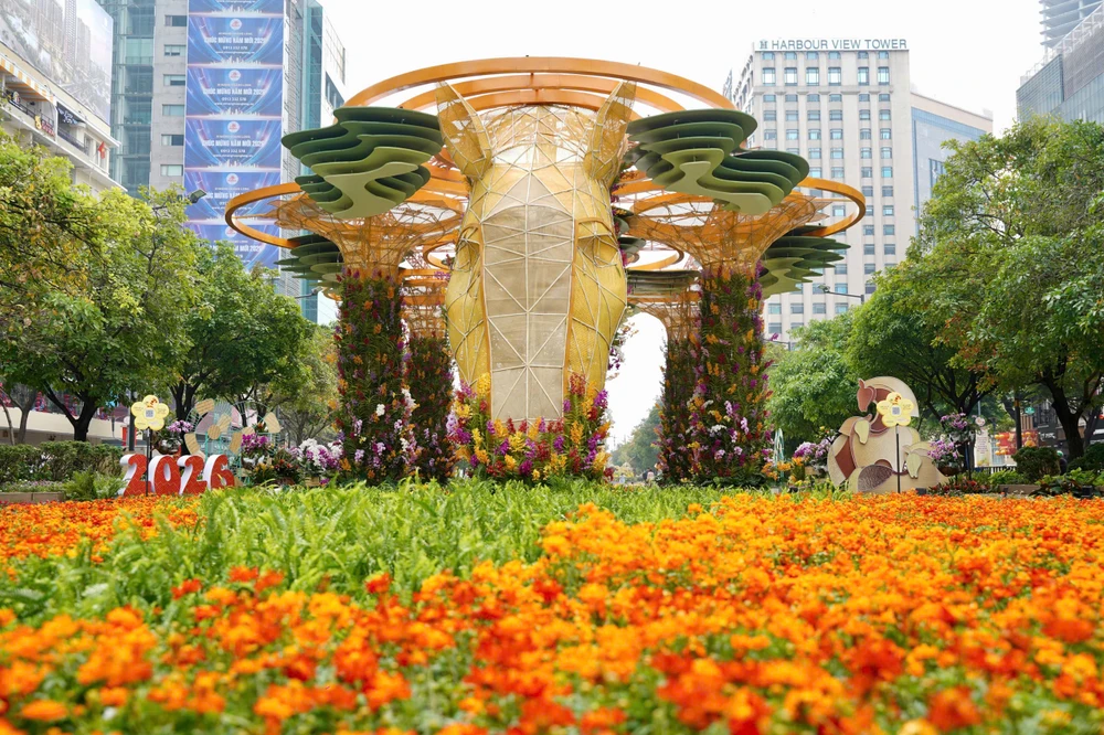 Đường hoa Nguyễn Huệ (10).jpg