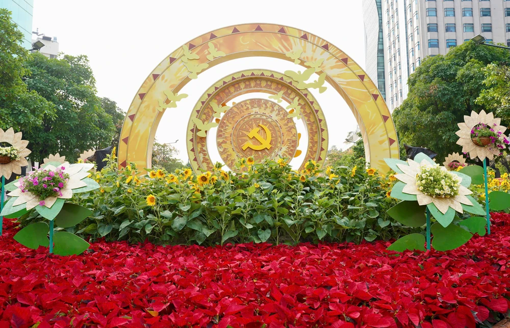 Đường hoa Nguyễn Huệ (29).jpg