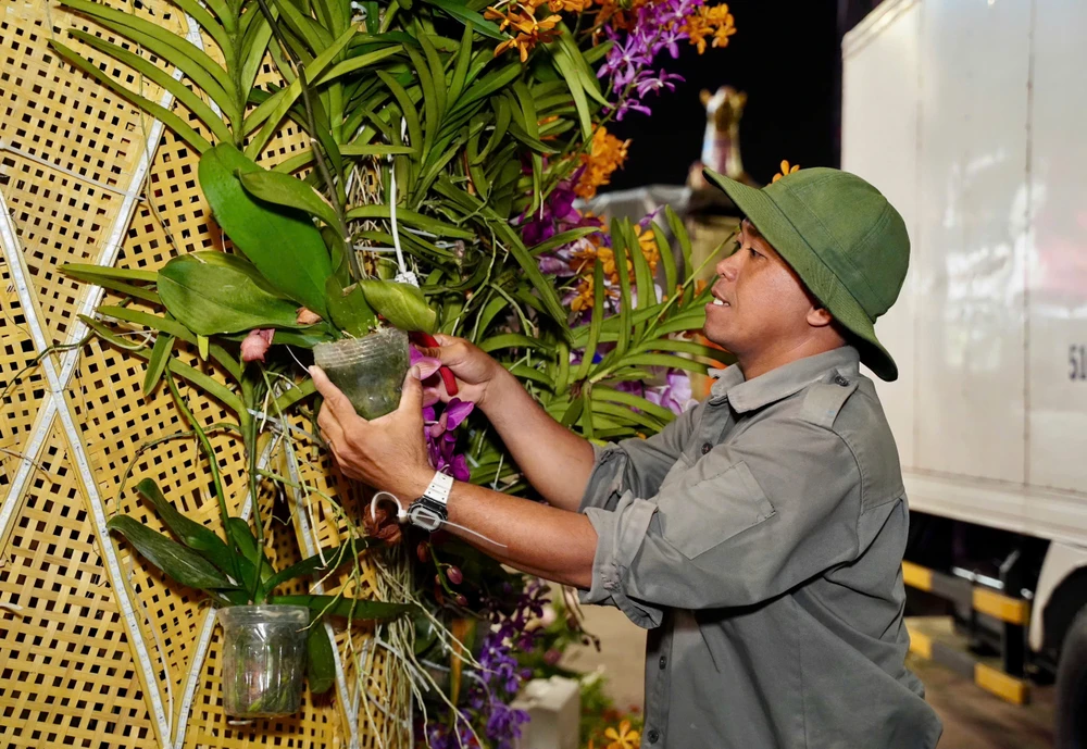 đường hoa Nguyễn Huệ (12).jpg