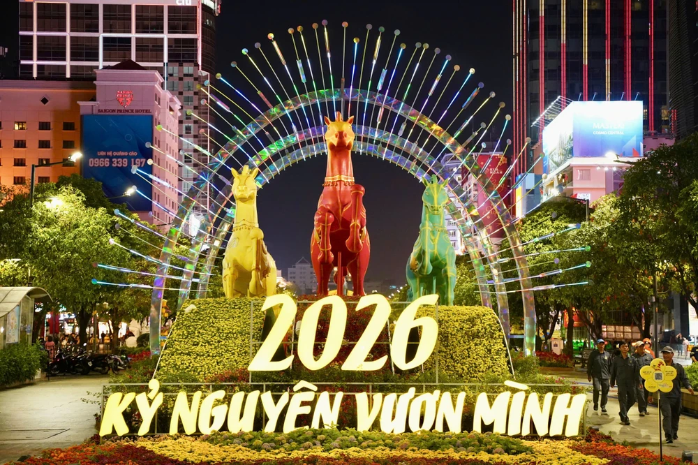 đường hoa Nguyễn Huệ (13).jpg