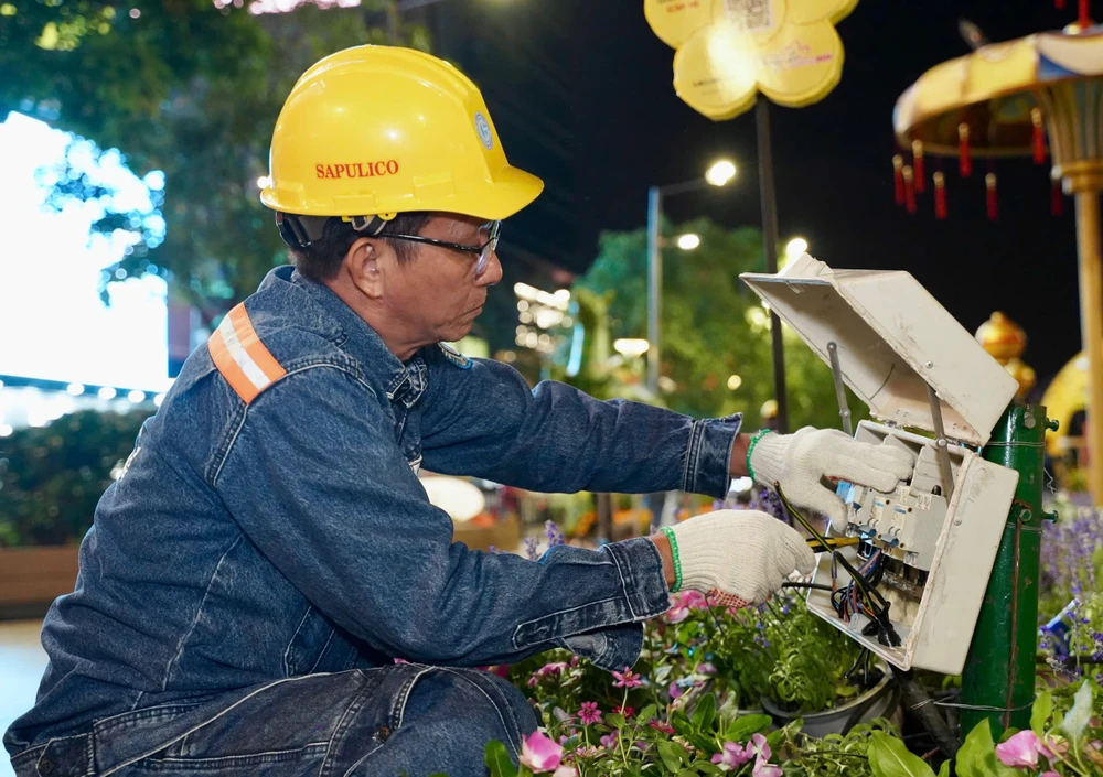 đường hoa Nguyễn Huệ (2).jpg