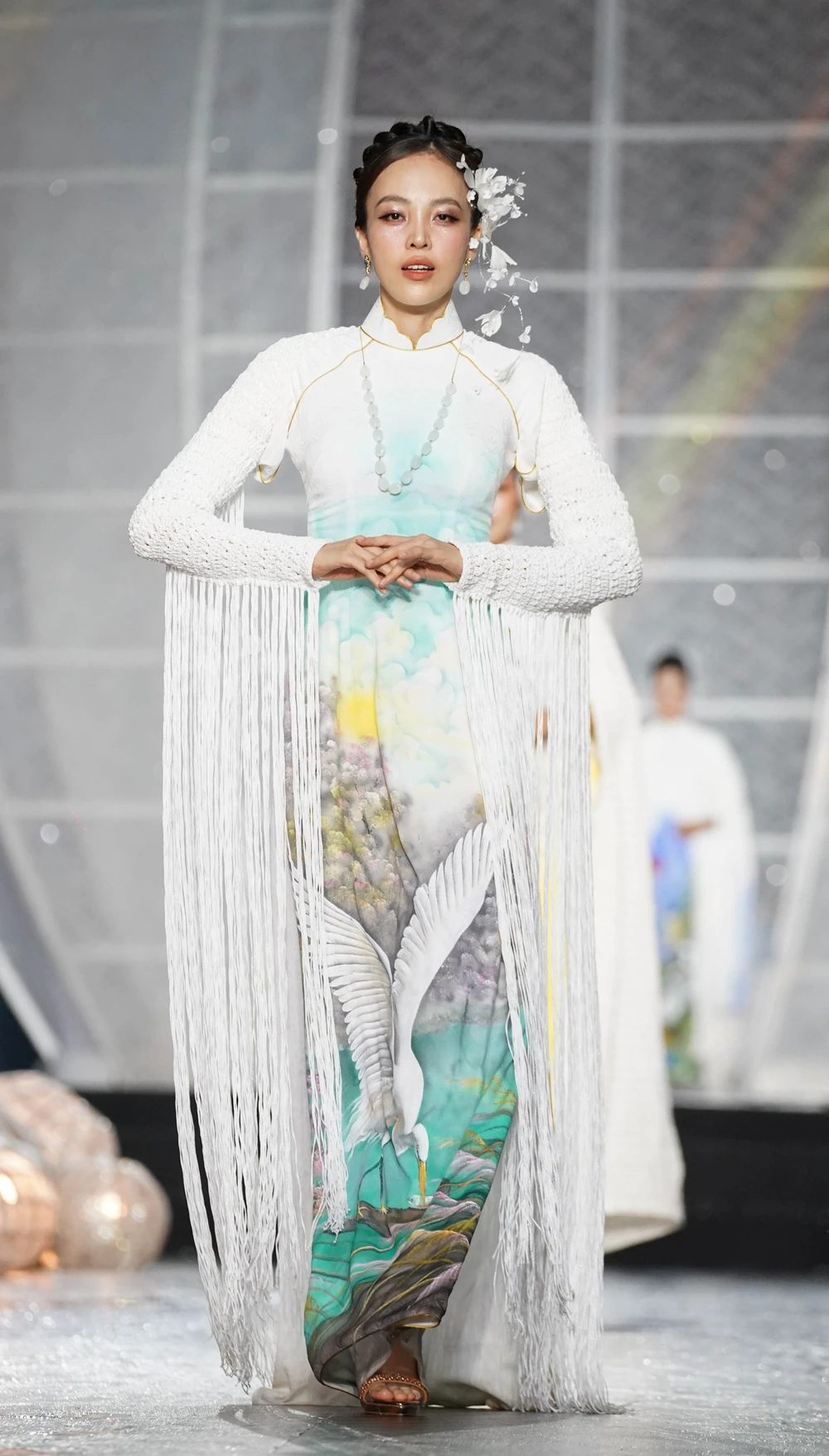 Lễ hội áo dài (11).jpg