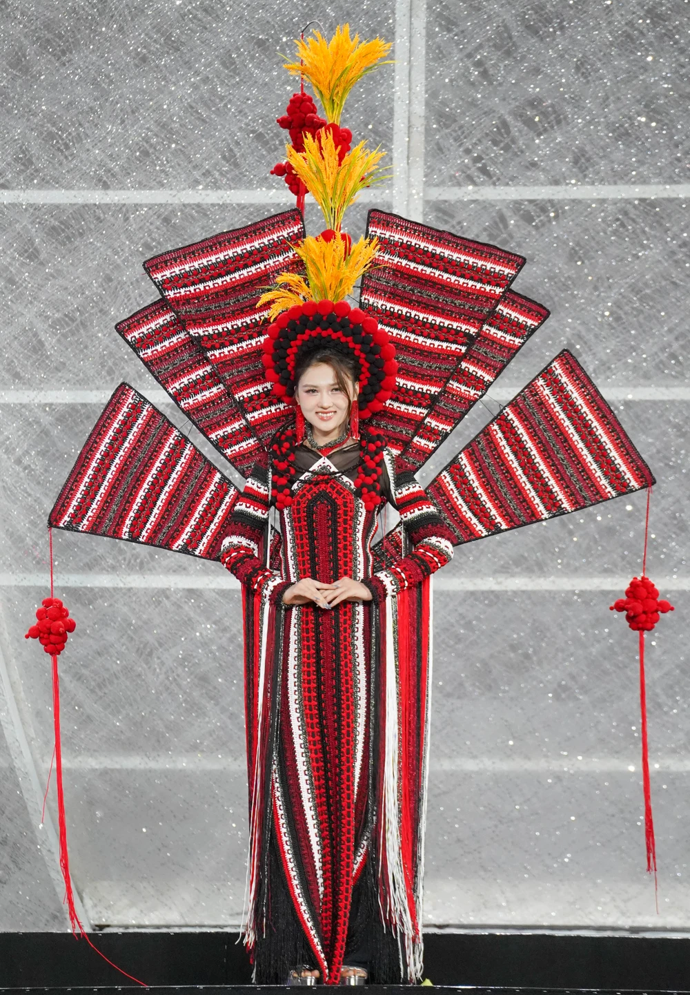 Lễ hội áo dài (17).jpg