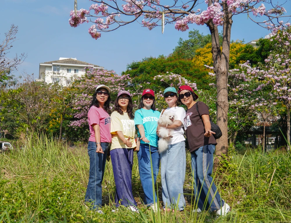 Hoa kèn hồng (1).jpg