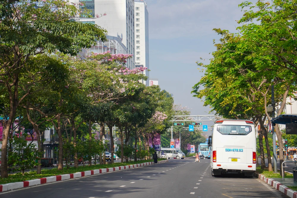 Hoa kèn hồng (12).jpg