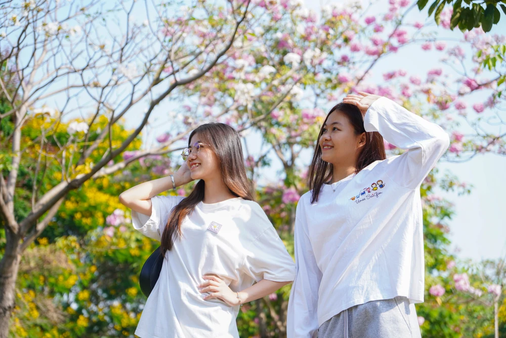 Hoa kèn hồng (2).jpg