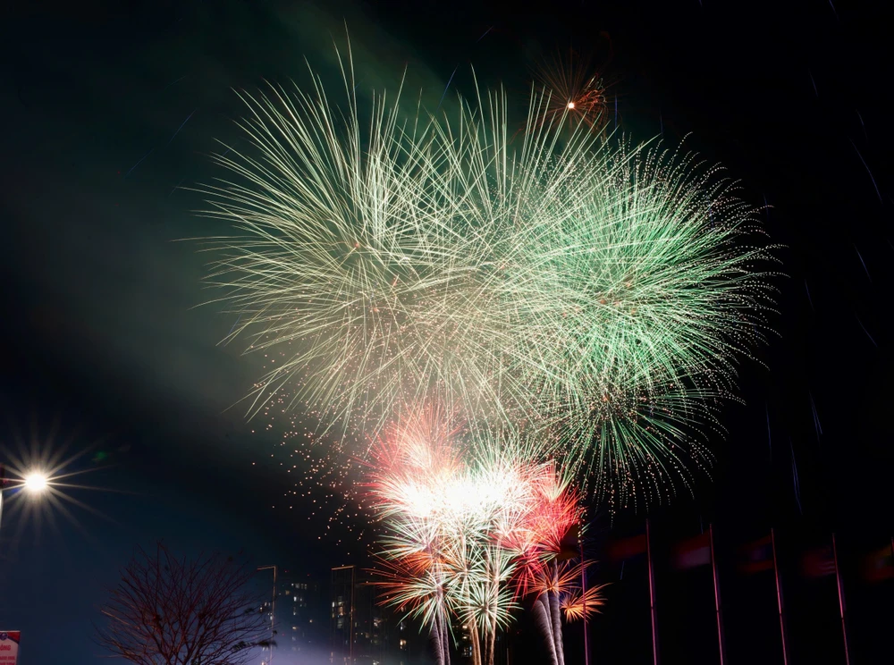 Pháo hoa (7).jpg