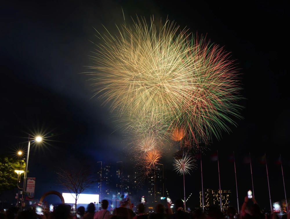 Pháo hoa (9).jpg