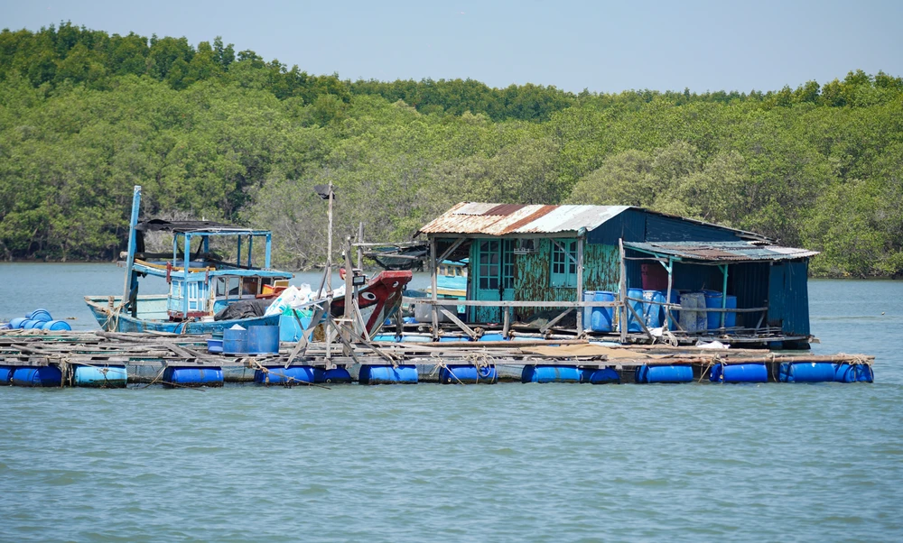 Cảng trung chuyển (17).jpg