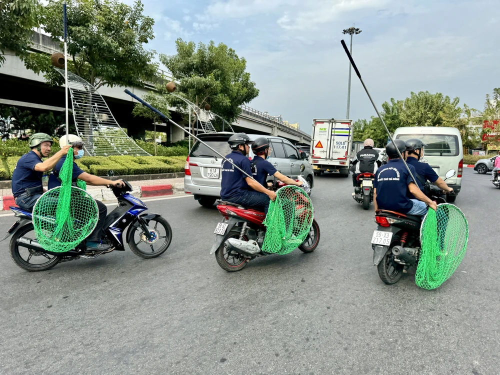 bắt chó thả rông