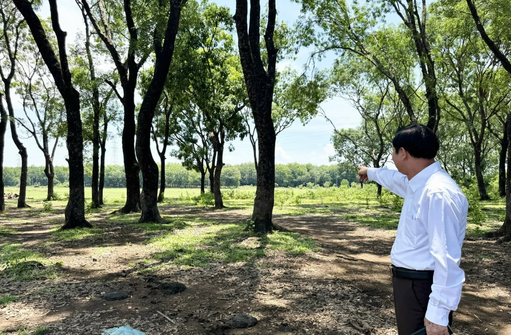 quyền sử dụng đất