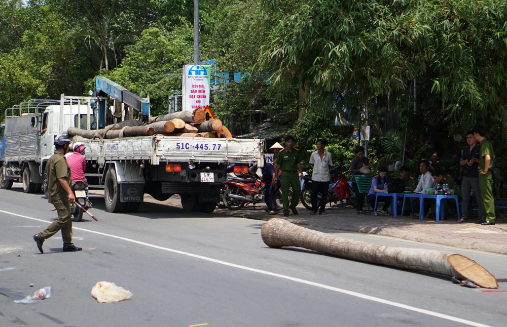 Thân cây dừa rơi khỏi cần cẩu đè thiếu niên 15 tuổi ảnh 1