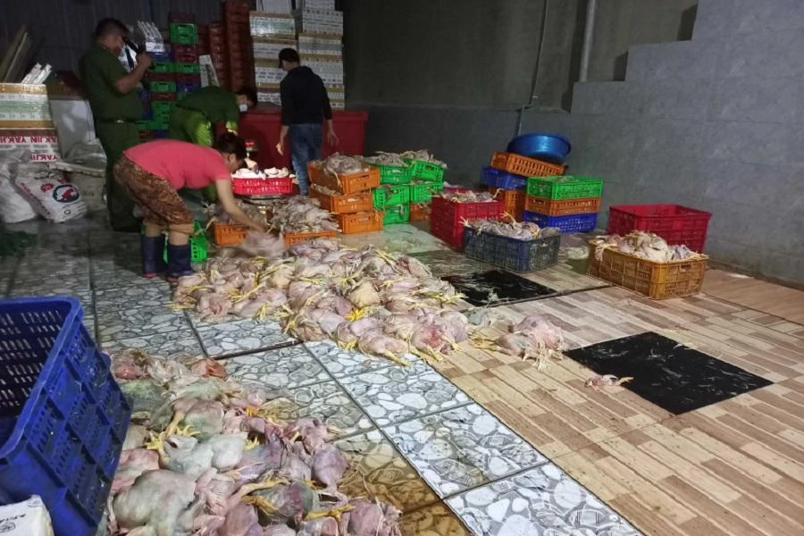 Lực lượng chức năng kiểm tra, lập biên bản xử lý. Ảnh: VH.