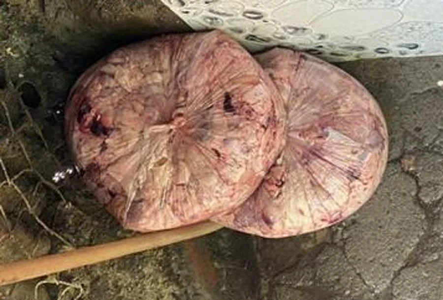 Thịt mỡ heo bỏ dưới sàn bê tông dơ bẩn. Ảnh: CA.