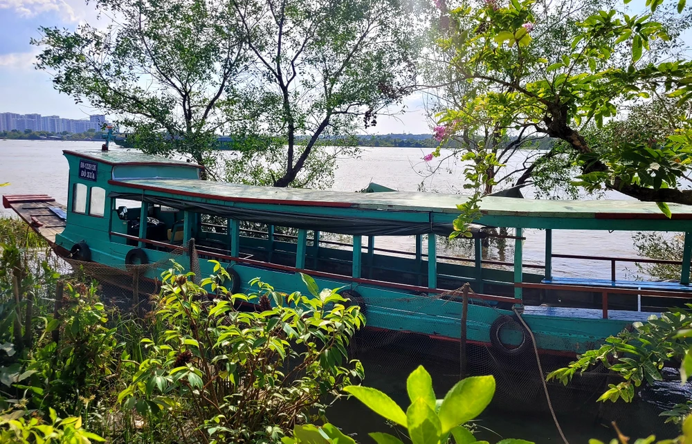 Nguyên nhân đò chở 12 người đi chùa bị lật ở sông Đồng Nai ảnh 2