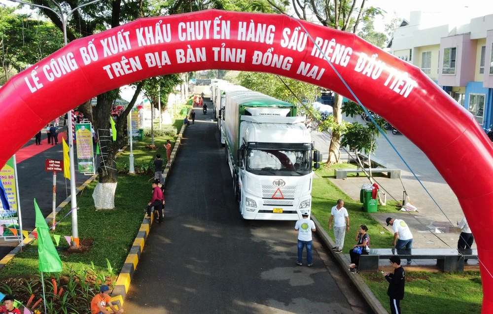 Đồng Nai tổ chức lễ công bố xuất khẩu chuyến hàng sầu riêng đầu tiên năm 2023. Ảnh: VH