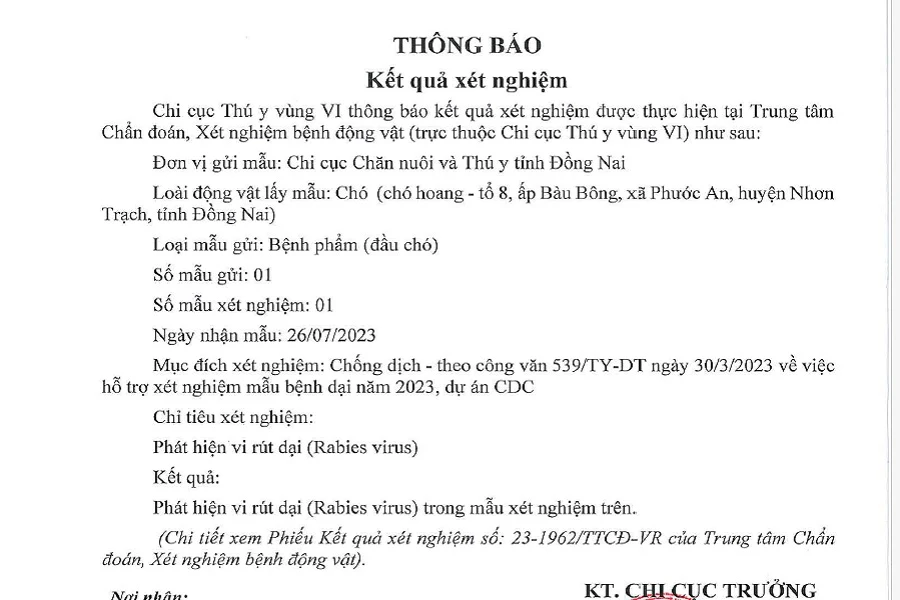 Kết quả phát hiện virus dại ở con chó khi cắn 5 người liên tiếp. Ảnh: VH. Kết quả phát hiện virus dại ở con chó khi cắn 5 người liên tiếp. Ảnh: VH.