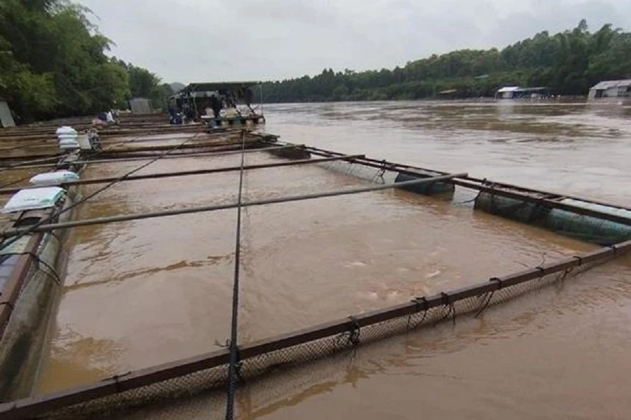 Nguy cơ xảy ra ngập lụt, lũ quét tại khu vực ven sông Đồng Nai. Ảnh: VH. Nguy cơ xảy ra ngập lụt, lũ quét tại khu vực ven sông Đồng Nai. Ảnh: VH.