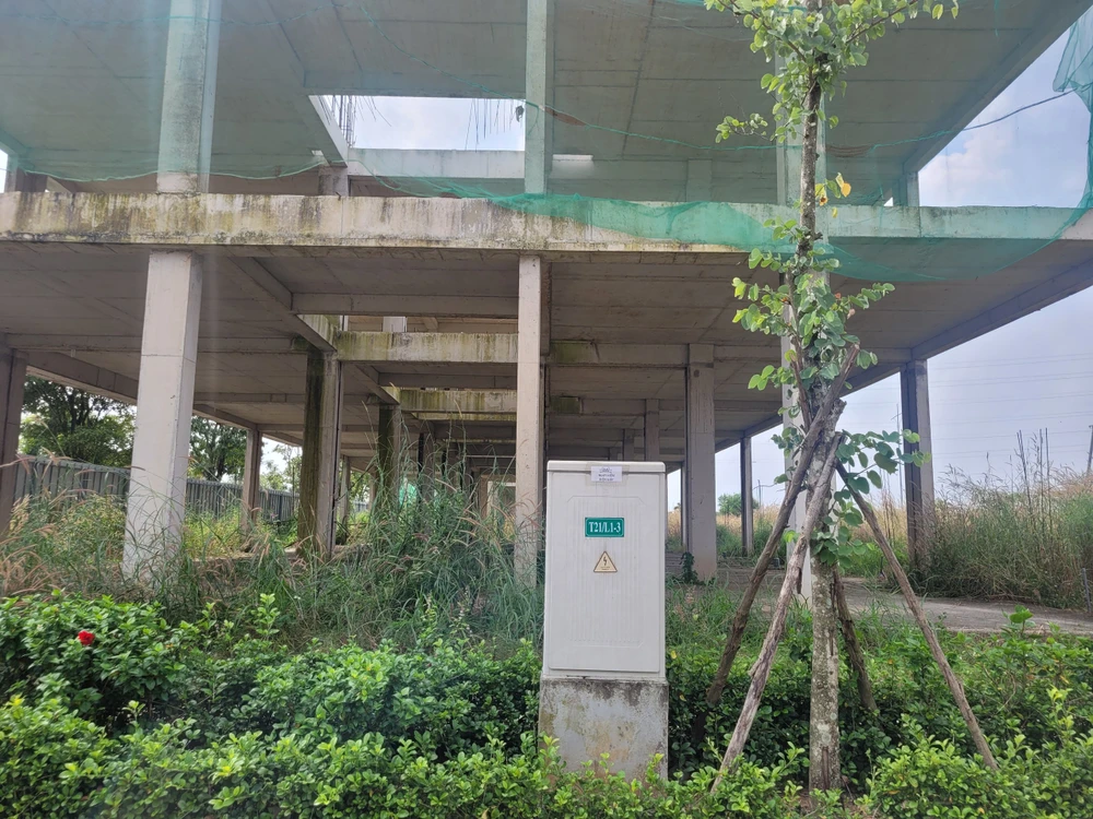 dự án sây bay 11.jpg