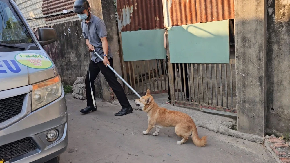 chó thả rông 7.jpg