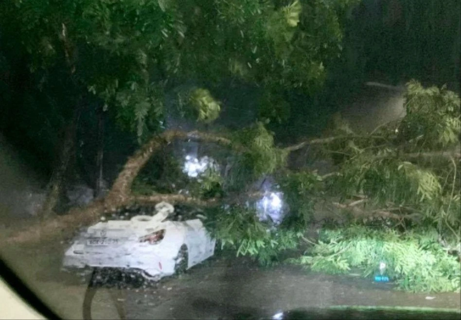 Mưa gió giông .jpg