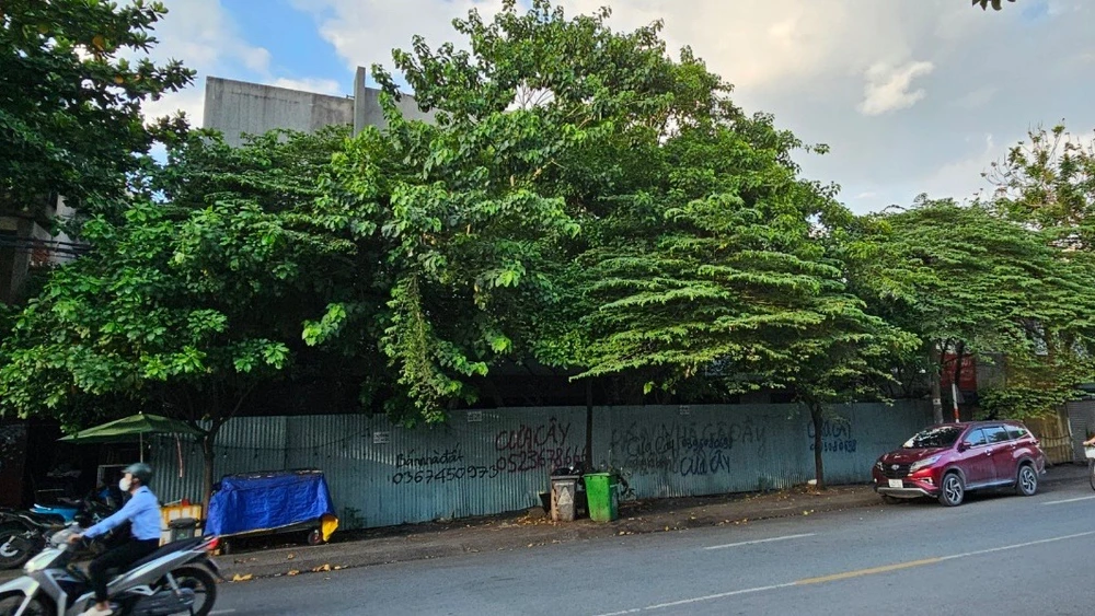 đấu giá khu đất.jpg