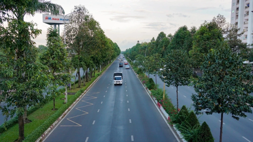 Công ty cây xanh Công Minh.jpg