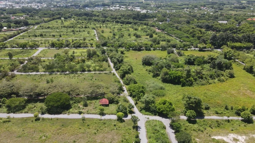 công ty LDG 11.jpeg