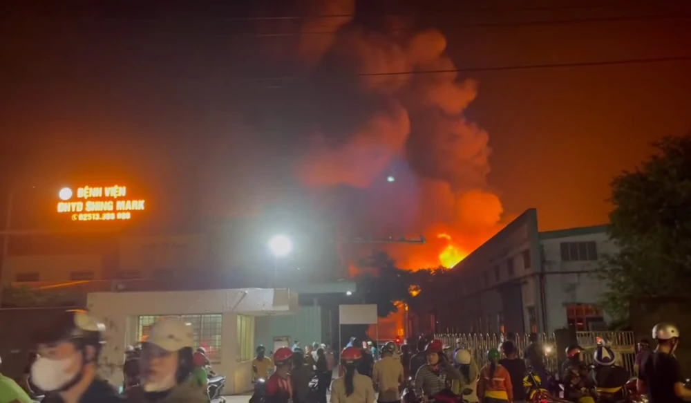 công ty Singmark .jpg