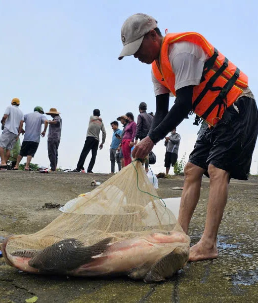 thuỷ điện trị an 11.jpg