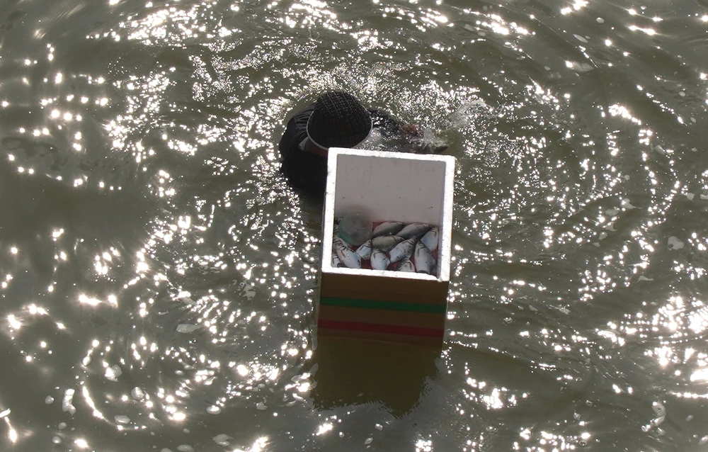 Thuỷ điện trị an 19.jpg