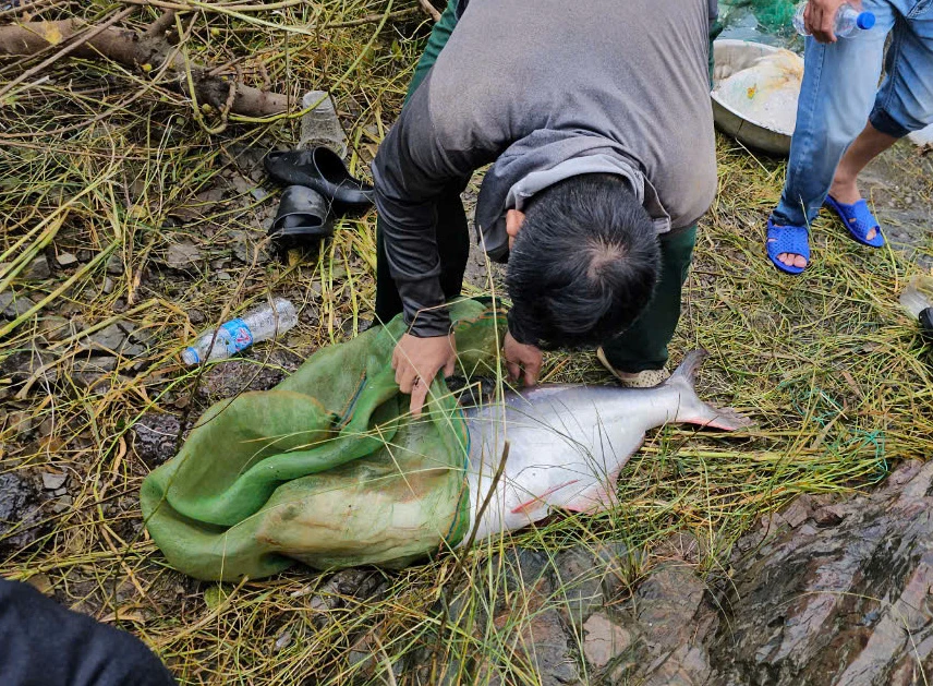 thuỷ điện trị an 9.jpg