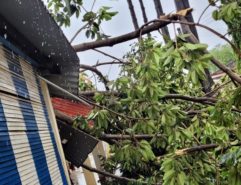 mưa lốc xoáy 3.jpg