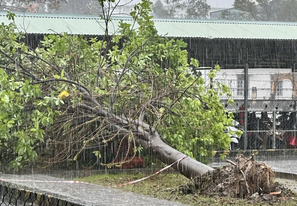 mưa lốc xoáy 4.jpg