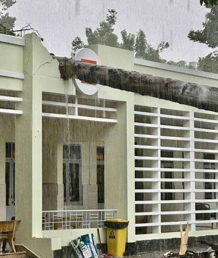 mưa lốc xoáy 6.jpg