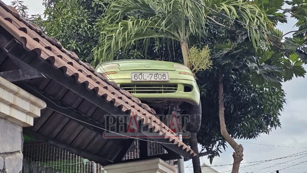 mái cổng nhà 3.jpg