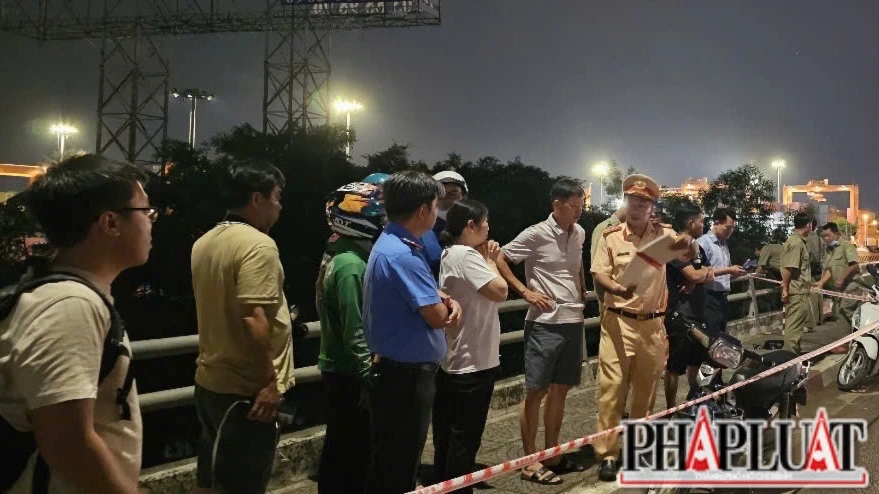 cầu Đồng Nai 1.jpg