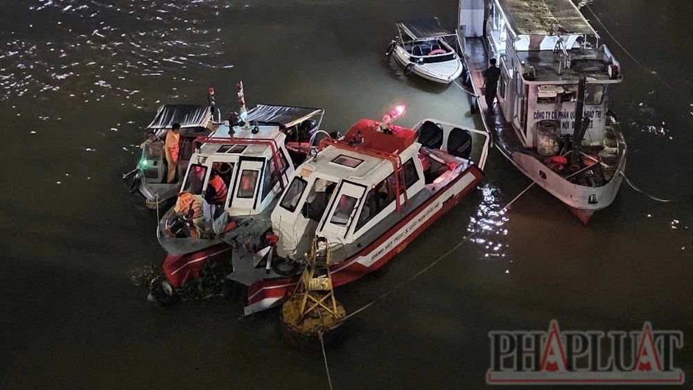 cầu Đồng Nai 7.jpg